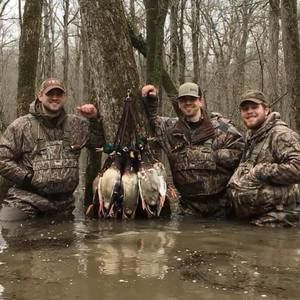 Meet your Posher, Justin